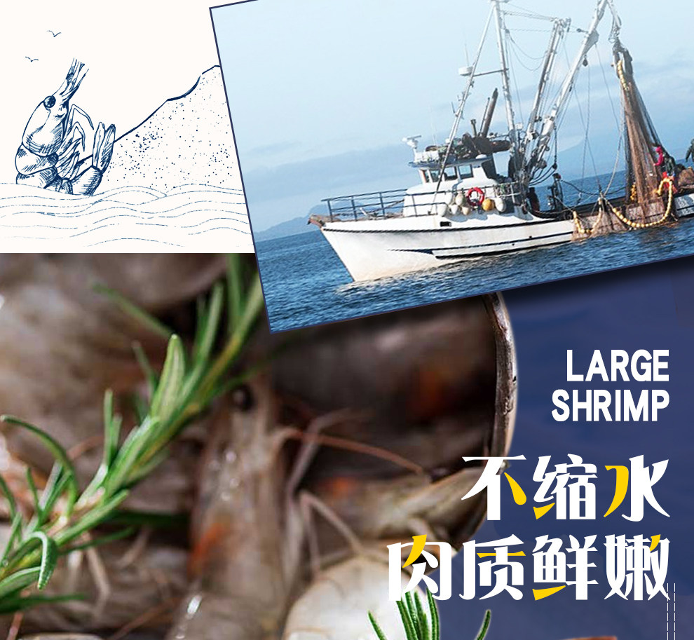 贝司令 新鲜海捕冷冻青虾仁 3斤 图6