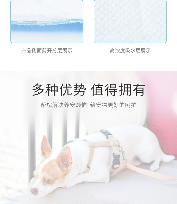 Chó nước tiểu pad tã tã Teddy cat puppy dày khử mùi 100 viên thấm mat vật nuôi - Cat / Dog Beauty & Cleaning Supplies