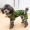 Chó áo mưa Teddy Bichon puppy Keji nhỏ vừa chó cưng quần áo bốn chân quần áo không thấm nước mưa quần áo - Quần áo & phụ kiện thú cưng áo dài cho chó