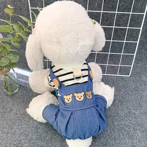 Одежда собаки может быть в ловушке.