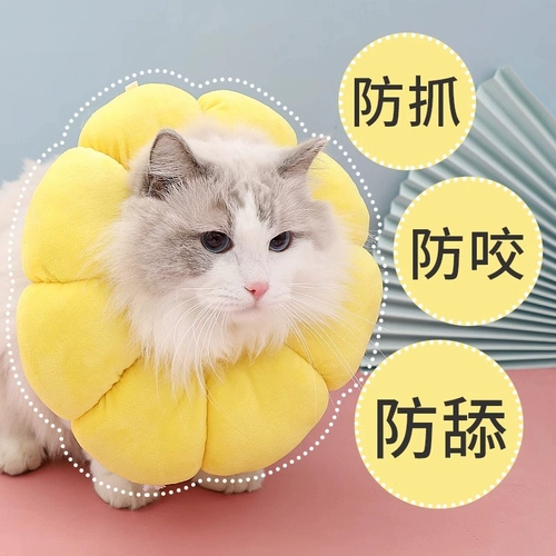 Cat Circle Elizabeth Circle Cat Стерилизация воротнич