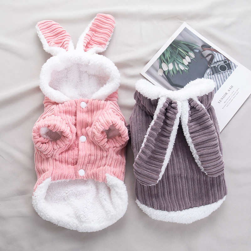 Pet cat clothes cute dog clothes rabbit clothes Corgi Bomei Teddy Bichon puppies autumn and winter clothes