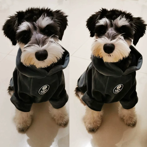 Шерри собачья одежда плюшевая плюшевая осень и зимние приливы кошачьи свитера утолщены, чем медвежь