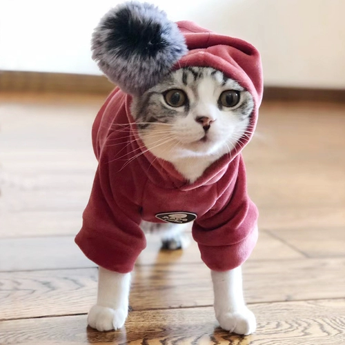 Шерри собачья одежда плюшевая плюшевая осень и зимние приливы кошачьи свитера утолщены, чем медвежь