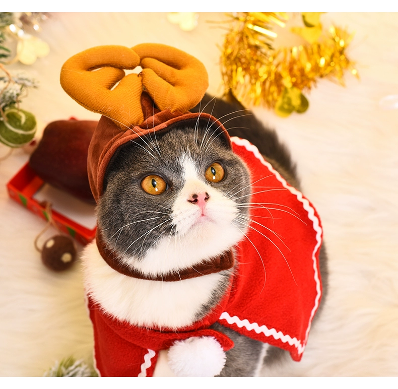 Net mèo đỏ mũ chó quần áo chó con phụ kiện tóc Anh Anh mũ ngắn trang phục thú cưng vui Giáng sinh vui - Quần áo & phụ kiện thú cưng áo cho mèo