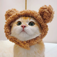 Медведь кофе