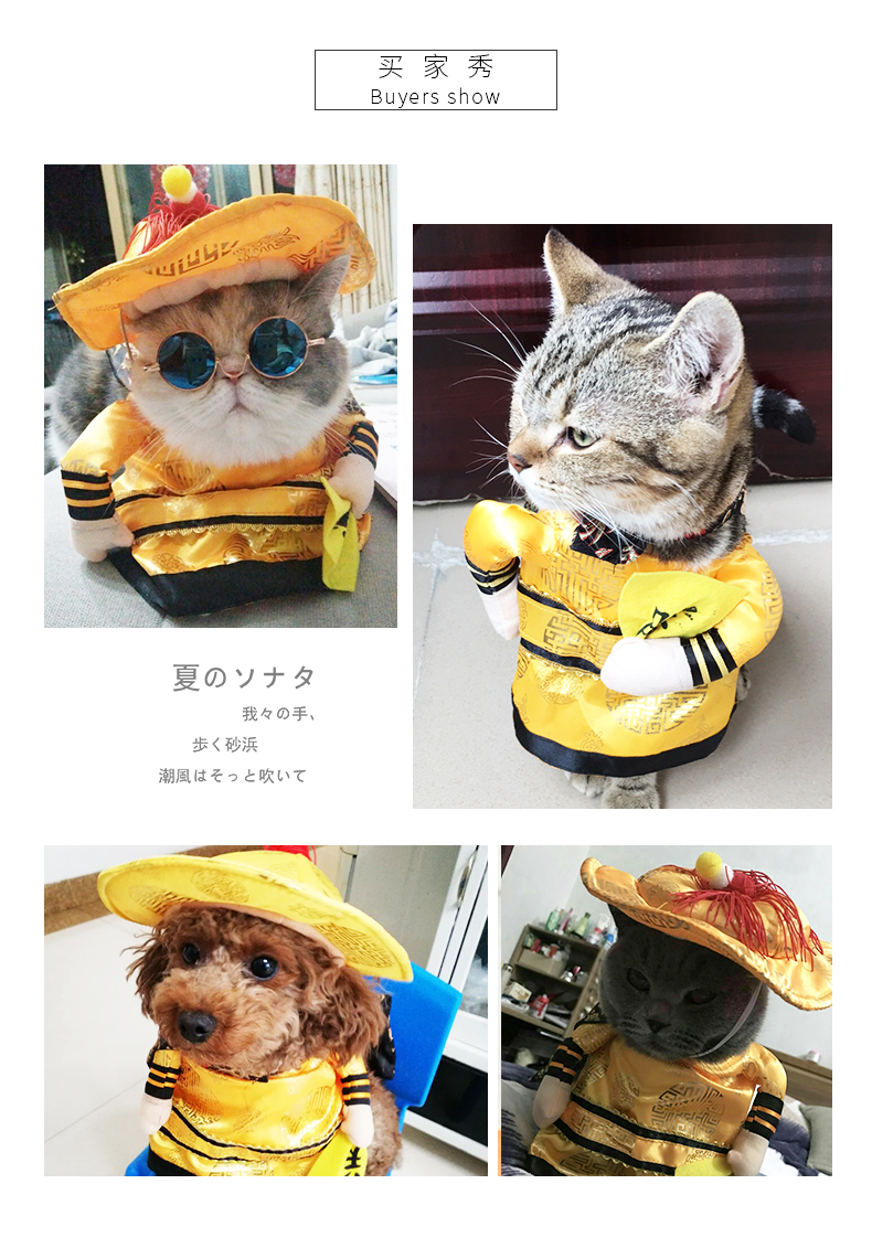 Trang phục chó ngộ nghĩnh trang phục mùa hè đầm mỏng phần rung với hoàng đế mèo TDI vui nhộn nhồi bông trang phục thú cưng - Quần áo & phụ kiện thú cưng áo lân cho cún
