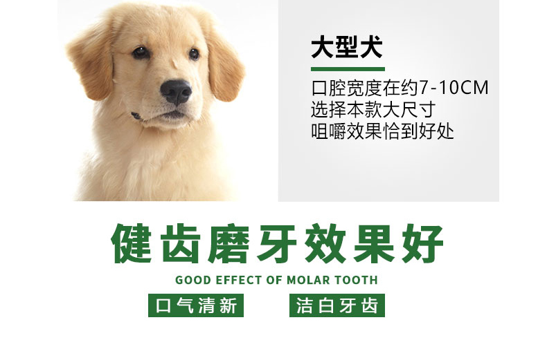 Chó răng hàm dính sạch răng xương Teddy Lông vàng Labrador vừa chó lớn nhai thú cưng - Đồ ăn vặt cho chó mua thức ăn cho chó