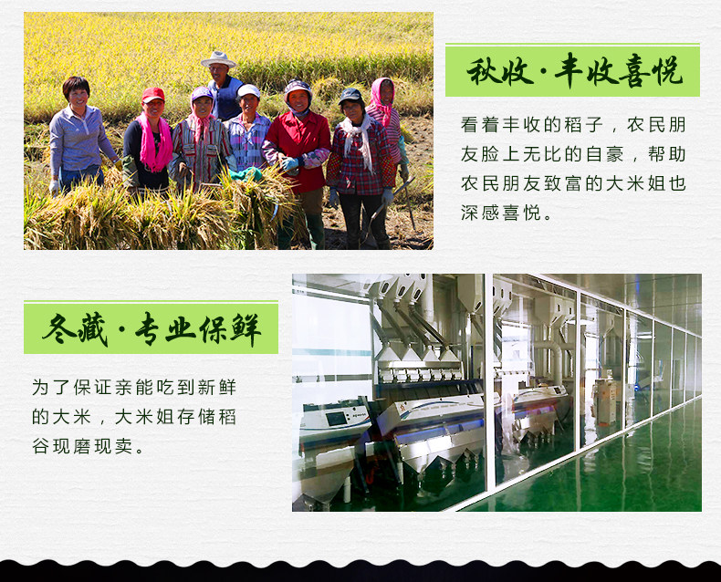 Selenium Germ Rice Noodles_16.jpg