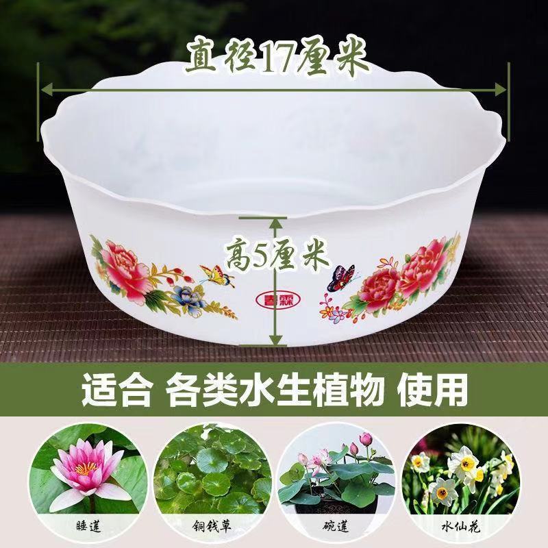 Thickened Plastic Bowl Lotus Basin Sleeping Lotus Basin Water Fairy Flower Pot water Percooper Money grass flower pot flower side round resin flower pot-Taobao