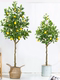 Internet celebrity Nordic simulation plant lemon tree green plant with fruit ins style interior decoration ornaments floor-standing bonsai decoration