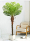 Trendy Nordic Artificial Green Plant Hotel Partition Coconut Tree Bonsai Indoor Living Room Decoration Fake Potted Plant Landscaping