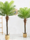 Trendy Nordic Artificial Green Plant Hotel Partition Coconut Tree Bonsai Indoor Living Room Decoration Fake Potted Plant Landscaping