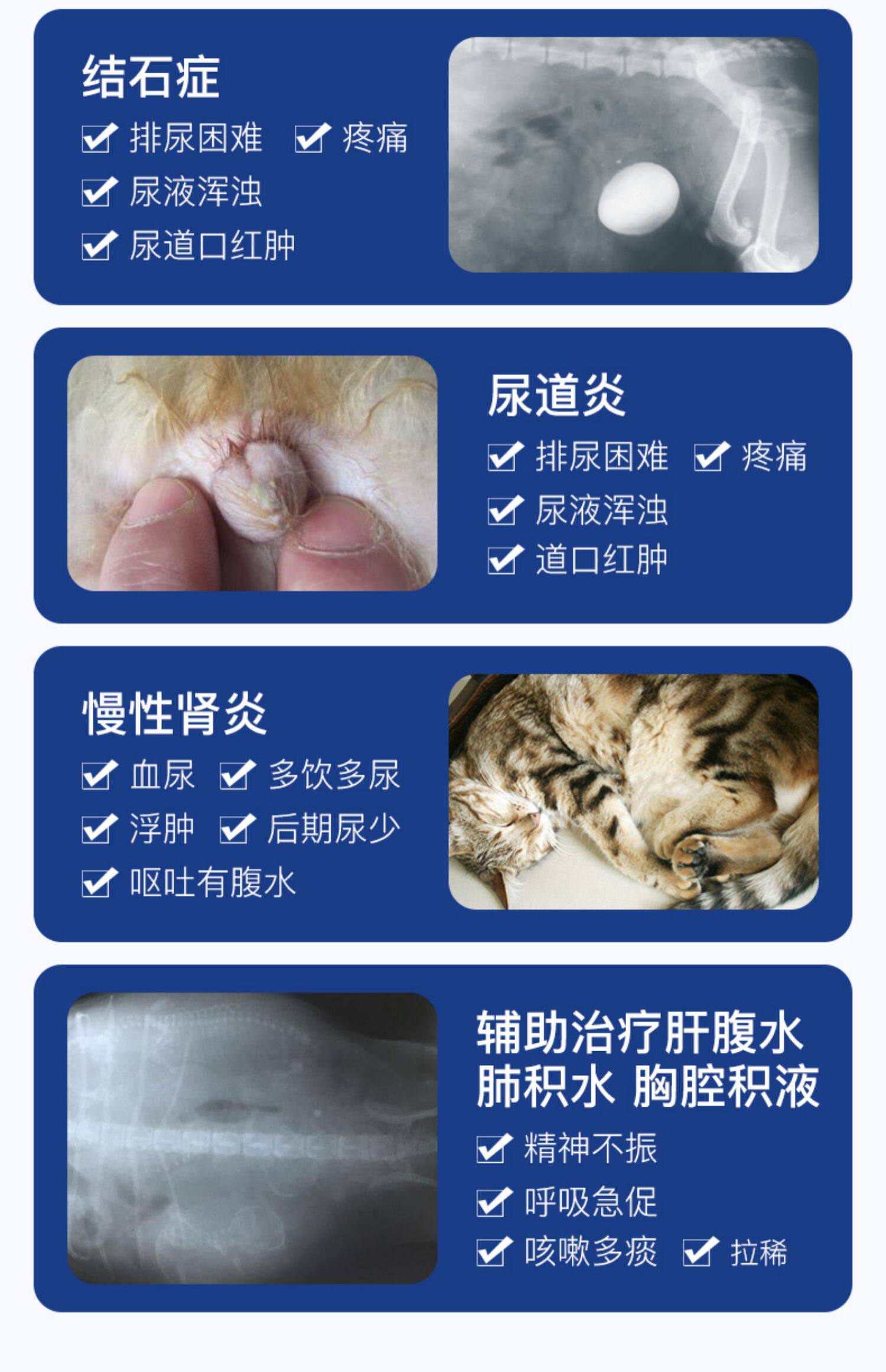 猫咪尿频尿血尿路感染利尿通猫狗狗泌尿系统尿道炎宠物消炎药结石_虎窝淘