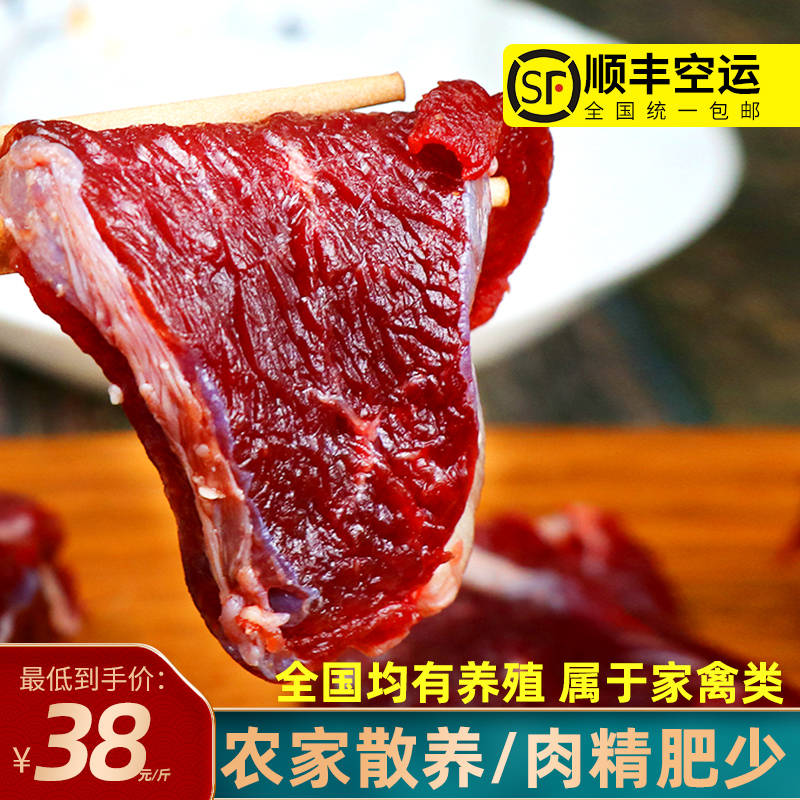 (Mountain Fresh Mix)Sika deer meat Fresh freshly killed venison frozen venison leg meat Adult deer steak Deer belly SF