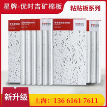 Star brand Ushiji mineral wool board 300x600 caterpillar paste board strip-shaped concave and convex sound-absorbing ceiling flat board