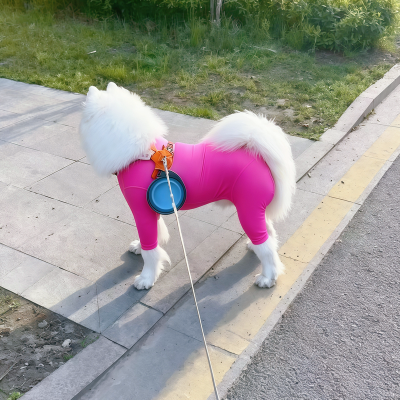 Pomeranian-Specific Dog Yoga Pants, Summer Yoga Clothes, Thin Summer Sun-Protective Cool Clothes, Bichon Teddy Clothes Pomeranian-Specific Dog Yoga Pants, Summer Yoga Clothes, Thin Summer Sun-Protective Cool Clothes, Bichon Teddy Clothes