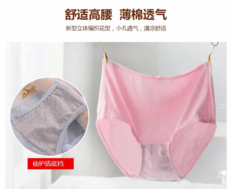 Slip DEANFUN en coton - Ref 640355 Image 8