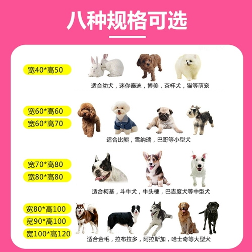 Ограждение, уличный кролик, домашний питомец