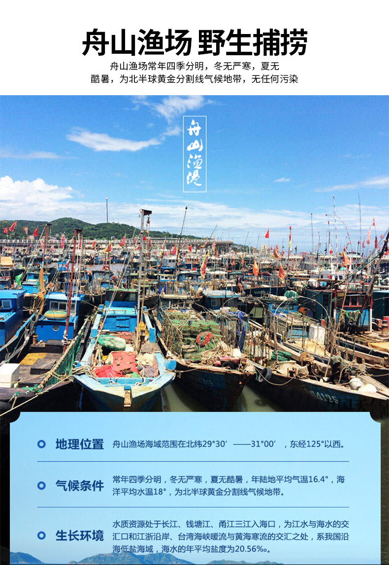 御知鲜 舟山雷达网带鱼 中段 净重4斤 图7