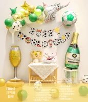 4. Пакет воздушных шаров Кубка мира