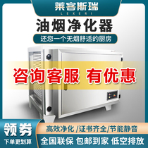 Low-altitude emission Commercial deodorant fume purifier 6000 large air volume Kitchen restaurant Hotel barbecue Visual smoke-free
