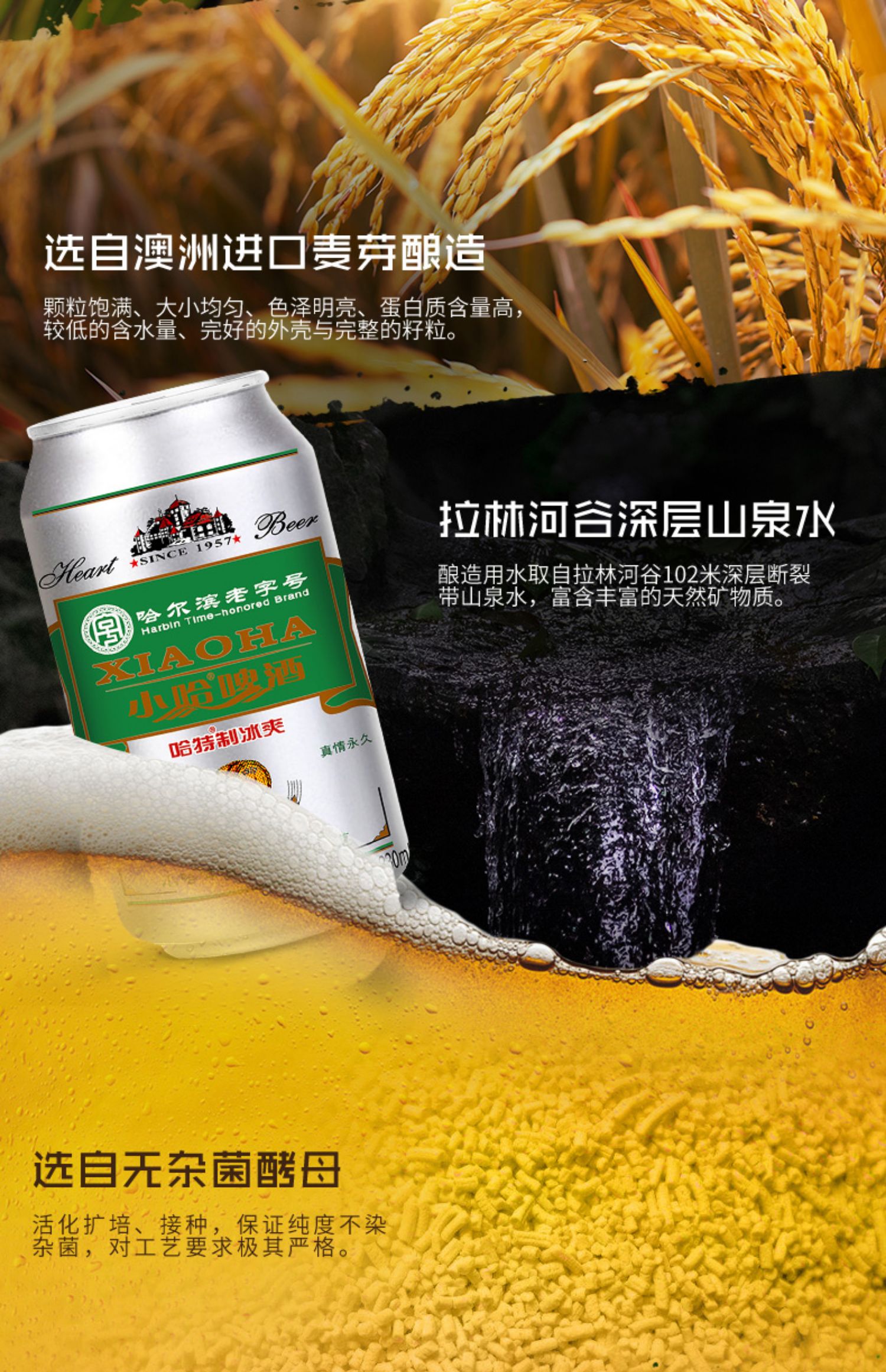 签到+首单！哈尔滨啤酒330ml*6罐