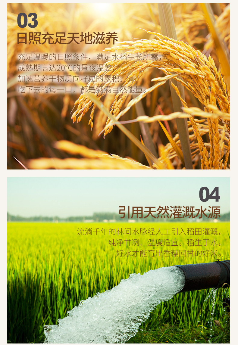 Пять Changshachang Fragrance_06.jpg