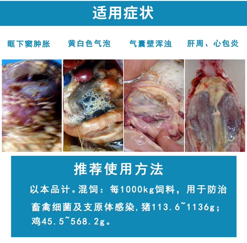 Phoshate Tyladin PlusAl Пороночный порошок бактериальная бактериальная бактериальная планетальная инфекция корм для корма Premiers Premier