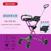 Окисление пурпурной круговой модель избиения мозга