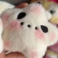 Звезда Сяопа