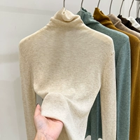 Абрикосовый