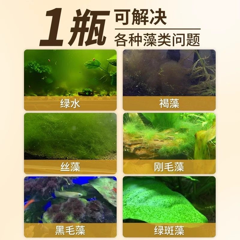 先得甲壳净：虾蟹养殖的秘密武器，轻松解决纤毛虫、聚缩虫和青苔难题