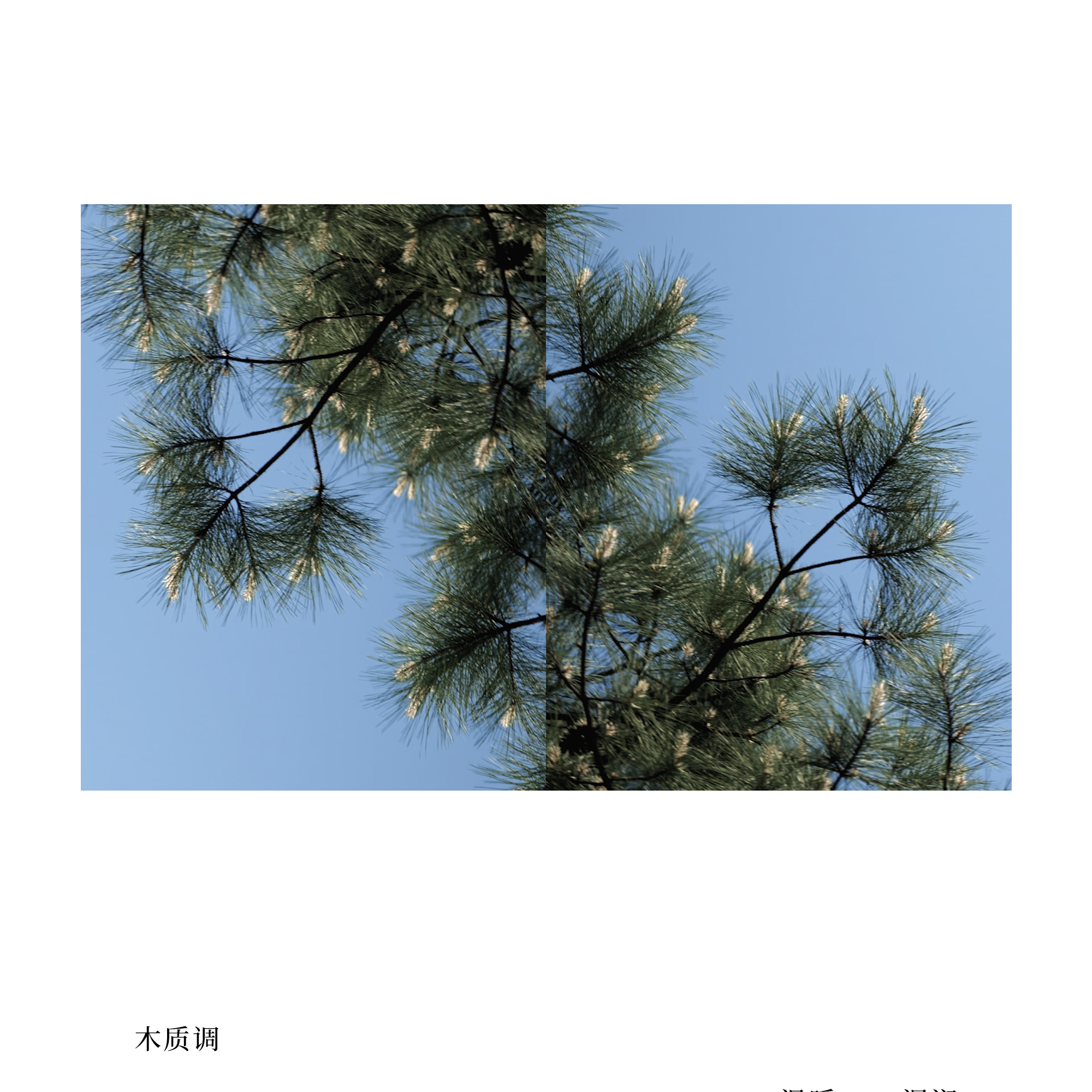 商品详情图