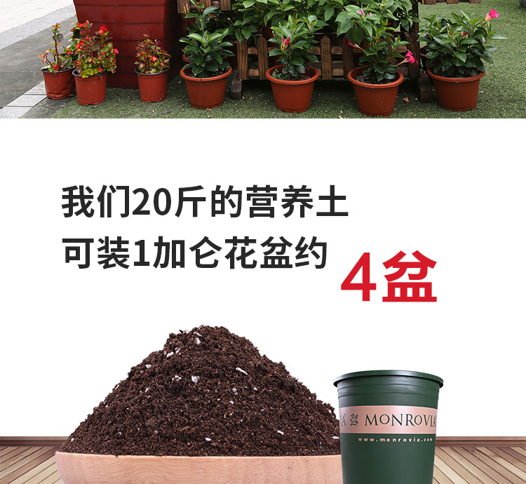 Jasmine gardenia cuckoo blueberry camellia michelia XiXing plant universal nutritional soil acid soil