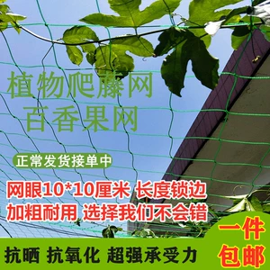 Подъем GOTO посадка шелкового растения Балконы Live Paper Fruit Network Special Net Speecing Prape Speed ​​Vine