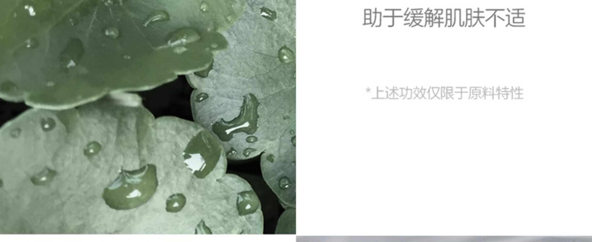 【香港直邮】 韩国 d'alba 黛尔珀 小敏伞防晒隔离霜50ml  SPF50+ PA++++  敏感肌专属