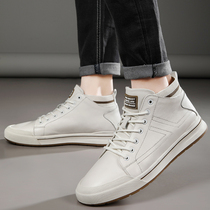 Cool Chi Medusa Fan top layer cowhide mens shoes 2022 new young mens mid-top leather casual leather shoes