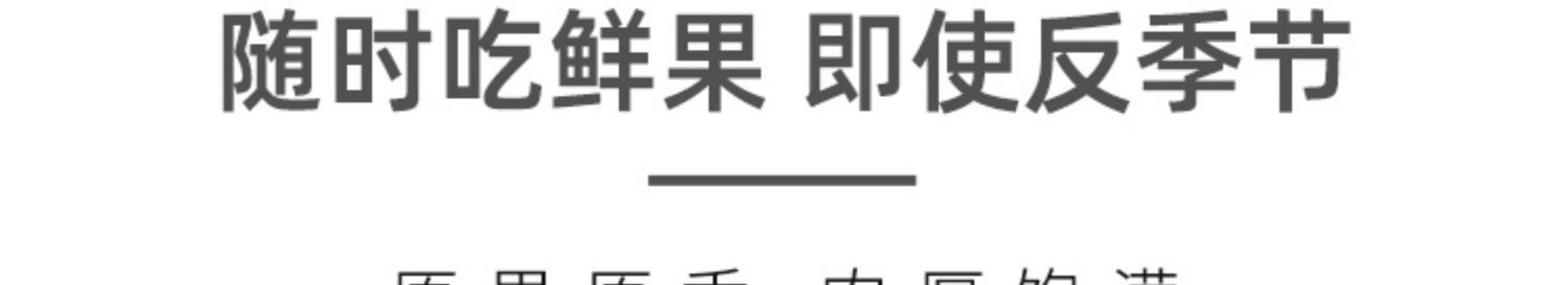 【朝花夕拾】冻干水果干零食混合装干