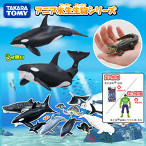 TOMY Domeca Amelia simulation marine wildlife model Seal Shark Moby Whale Crocodile boy toy