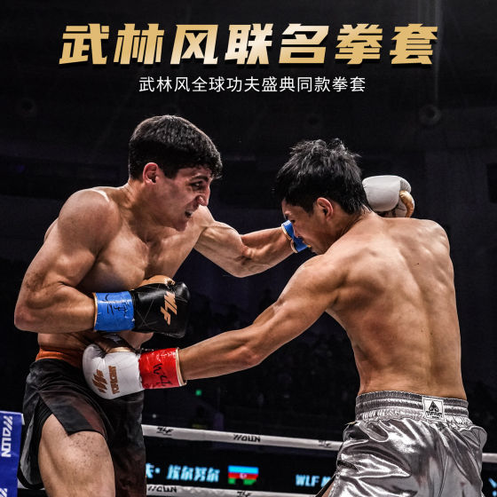 TOFIGHT Wulin style global kung fu festival lace-up gloves boxing training target shooting sandbag training gloves