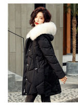 Autumn and winter New down cotton clothes female Korean version of long loose Korean warm thick cotton coat coat women