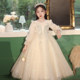 Performance Costumes Girls Princess Flower Girl Dresses