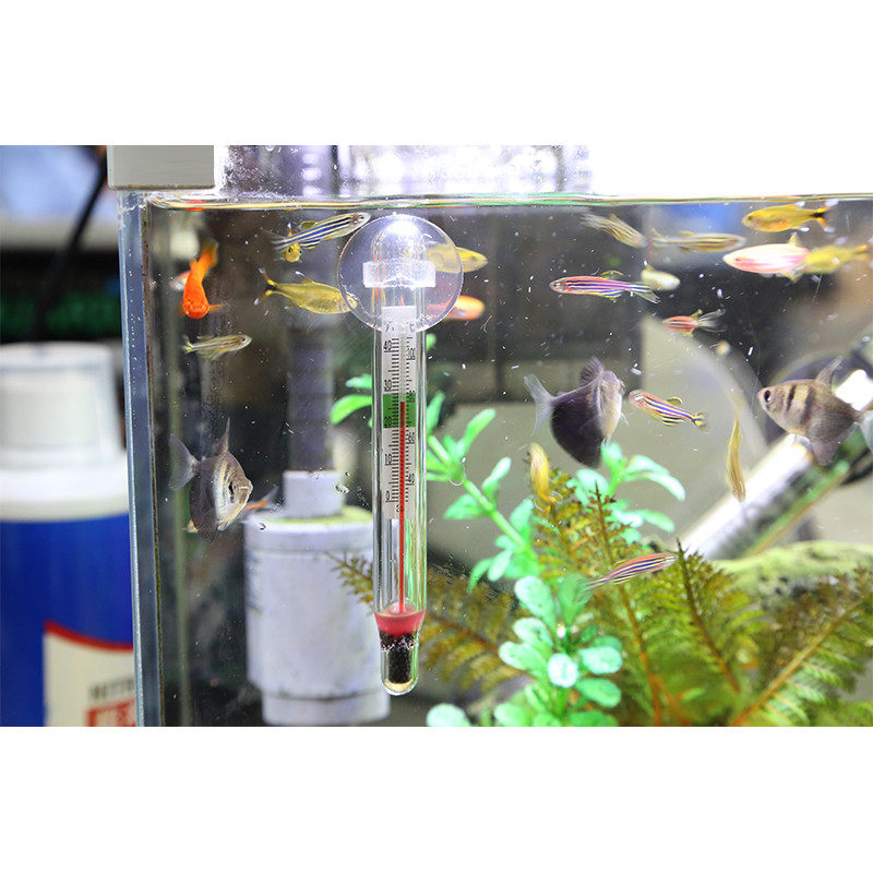 [USD 5.99] Senson Aquatic Thermometer Tropical Fish Water Temperature