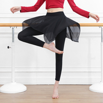 Dance pants female modern Latin practice pants Chinese teacher body professional tight yarn culottes dance training clothing