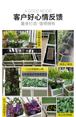 洁维诺 39 Зеленый семейный растение растения контейнер компонент растения растения посадка Посадка Позднее полотенце порошок для порошка