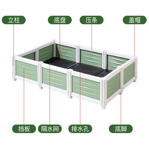 洁维诺 39 Зеленый семейный растение растения контейнер компонент растения растения посадка Посадка Позднее полотенце порошок для порошка