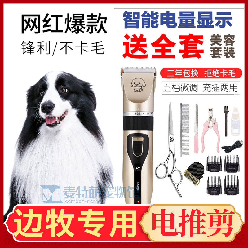 Border Shepherd Dogs Special Dogs Electric Pushback Haircuts Hairdresser Hairdresser Professional Electric Push Cut Shave Hair Theorist Fur Tools
