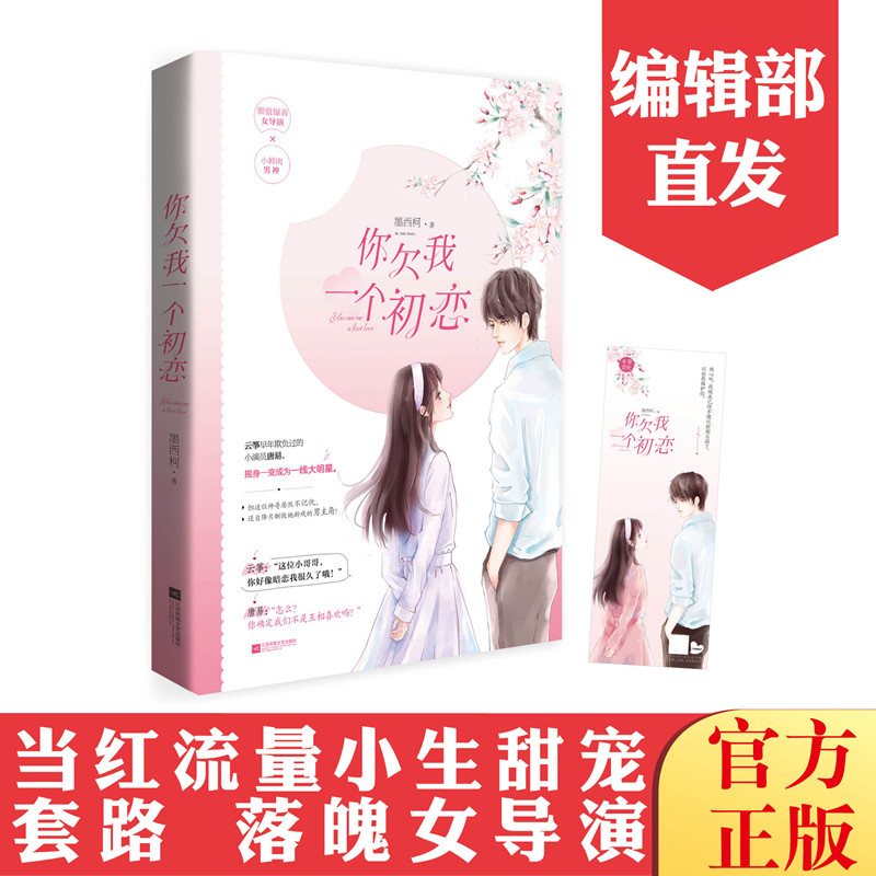 你欠我一个初恋墨西柯