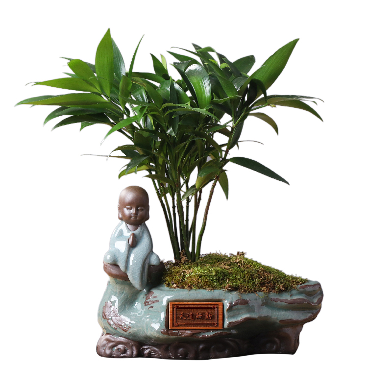 Classical flowerpot ceramic Chinese wind restoring ancient ways violet arenaceous zen creative move desktop potted the plants large flowers
